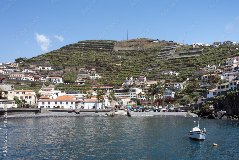 Naklejka premium camara de lobos, madeira