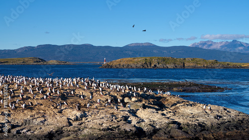 The Beagle Channel near Ushuaia, Tierra del Fuego, Argentina
