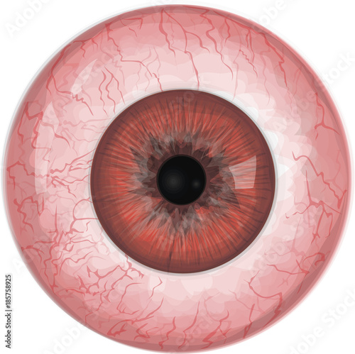 Realistic human eyeball with red iris