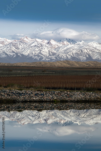 Andes reflection in the Uco valley