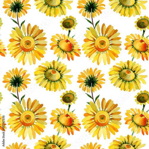Wildflower yellow chamomile flower pattern in a watercolor style. Full name of the plant: yellow chamomile. Aquarelle wild flower for background, texture, wrapper pattern, frame or border.