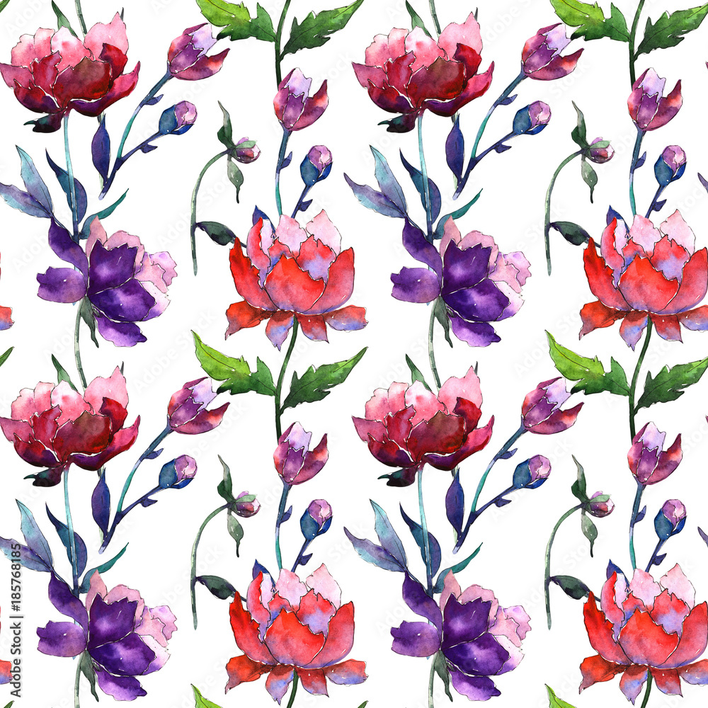 Wildflower peony flower pattern in a watercolor style. Full name of the plant: peony. Aquarelle wild flower for background, texture, wrapper pattern, frame or border.