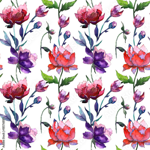 Wildflower peony flower pattern in a watercolor style. Full name of the plant  peony. Aquarelle wild flower for background  texture  wrapper pattern  frame or border.