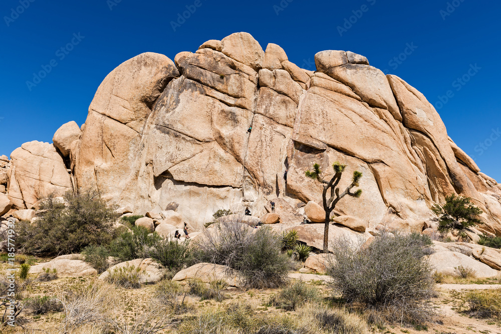 Giant Rocks in the Joshua Tree National Park, Mojave desert, California, USA Giant Rocks in the Joshua Tree National Park, Mojave desert, California, USA