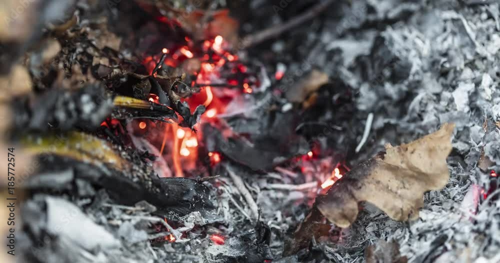 Timelapse video of a burning oak leaf in the ashes of a big pile of leaves and twigs in autumn as a part of garden preparation for winter in 4k 4096 pixels, 24fps Timelapse video of a burning oak leaf in the ashes of a big pile of leaves and twigs in autumn as a part of garden preparation for winter in 4k 4096 pixels, 24fps
