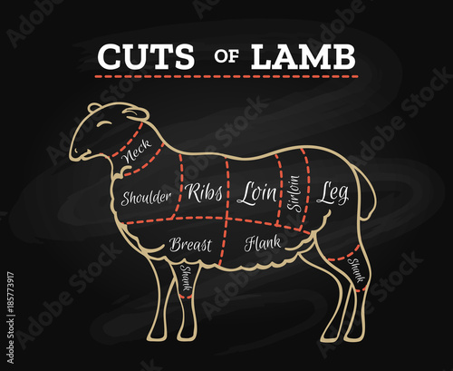 Lamb cuts chart. Sheeps or lambs meat steak butcher chalkboard scheme in retro hand drawn style vector illustration