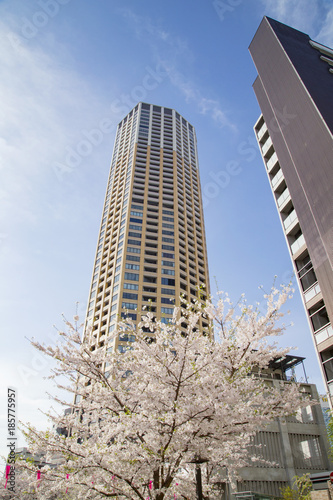 中目黒駅付近の風景