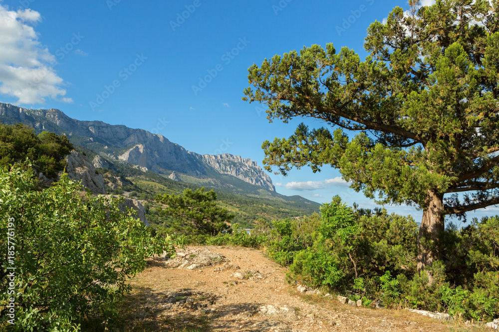 Ai-Petri is a peak in Crimean Mountains.