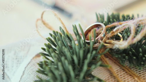 two Golden wedding rings on a cushion with fir branches photo