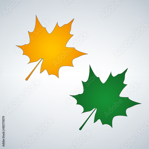 leaf in orange and green co...