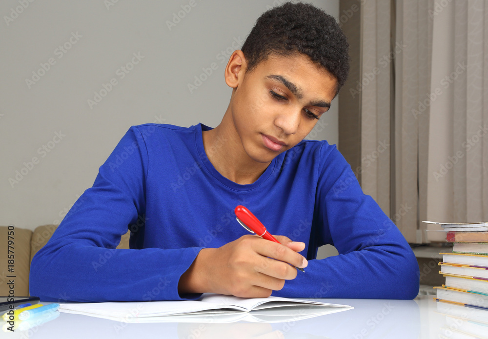 teenager in blue blouse writes in a notebook lessons. teenager in blue blouse writes in a notebook lessons.