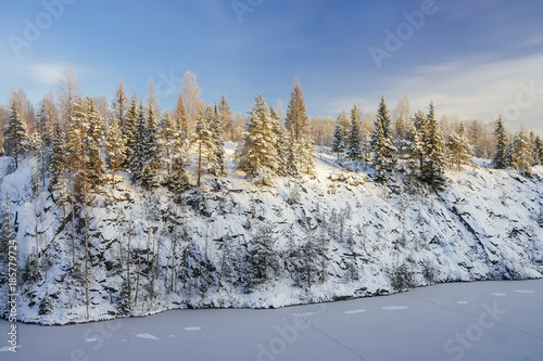 Slope of the mountain with firs in sunlight in winter
