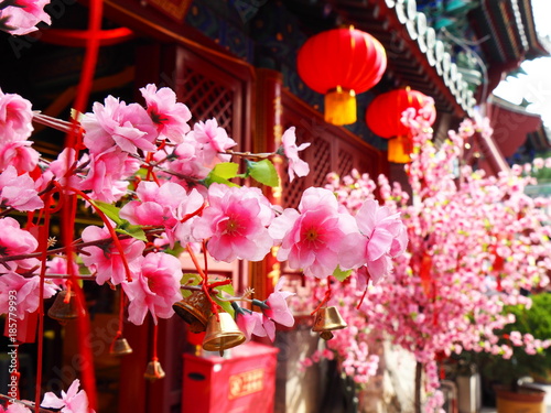 Cherry blossom at Chinese temple at new year