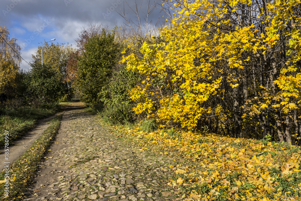 An old cobblestone path in an autumn park