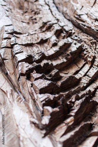 Old wood = texture