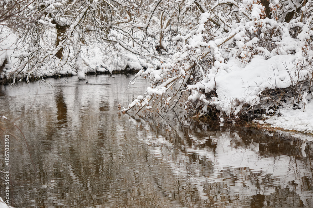 winter forest stream. trees in the snow. winter forest stream. trees in the snow.