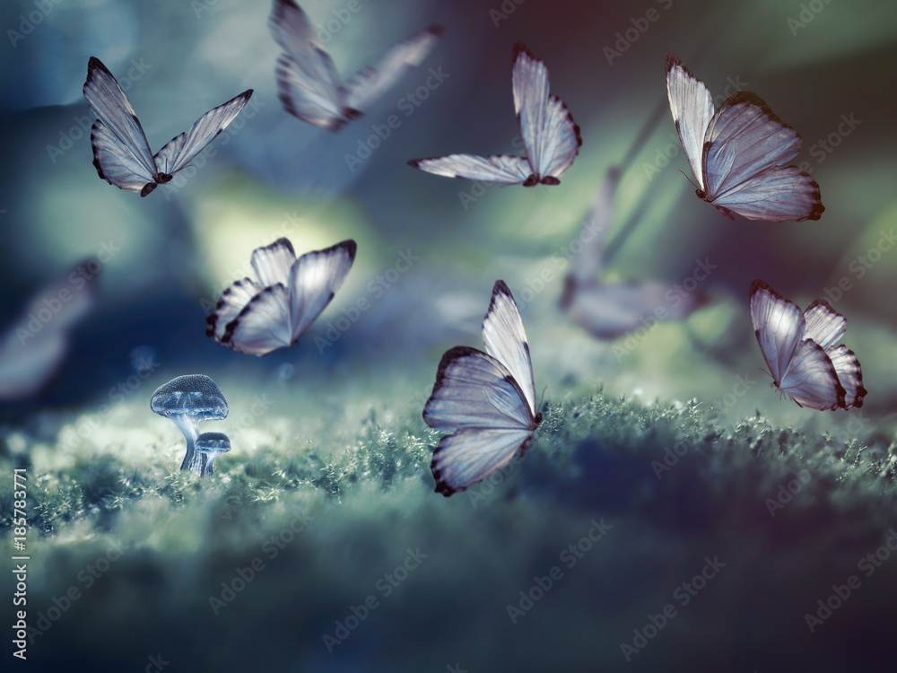 Obraz premium Ogromne motyle i małe świecące grzyby w lesie.