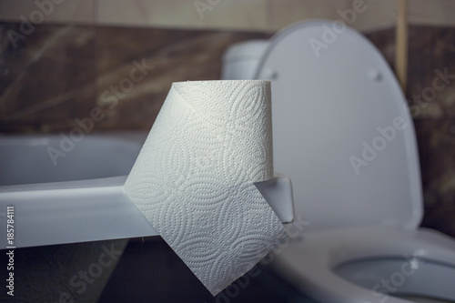 Toilet paper roll on the edge of the bath. On the background of toilet photo