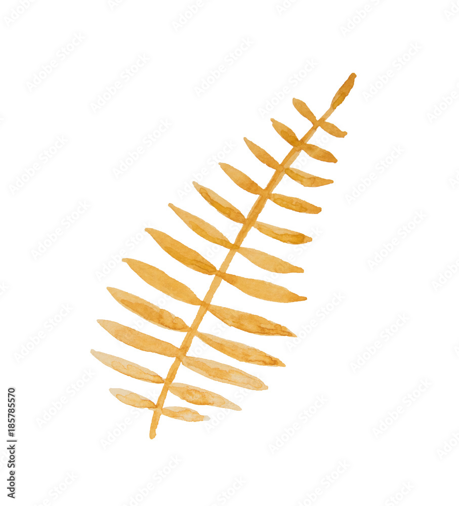 Beautiful abstract orange and yellow leaf painted with watercolor isolated on white background Beautiful abstract orange and yellow leaf painted with watercolor isolated on white background