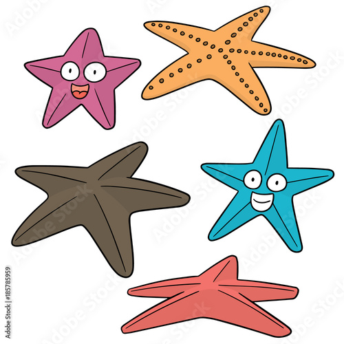 vector set of starfish