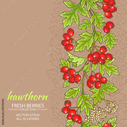hawthorn vector background