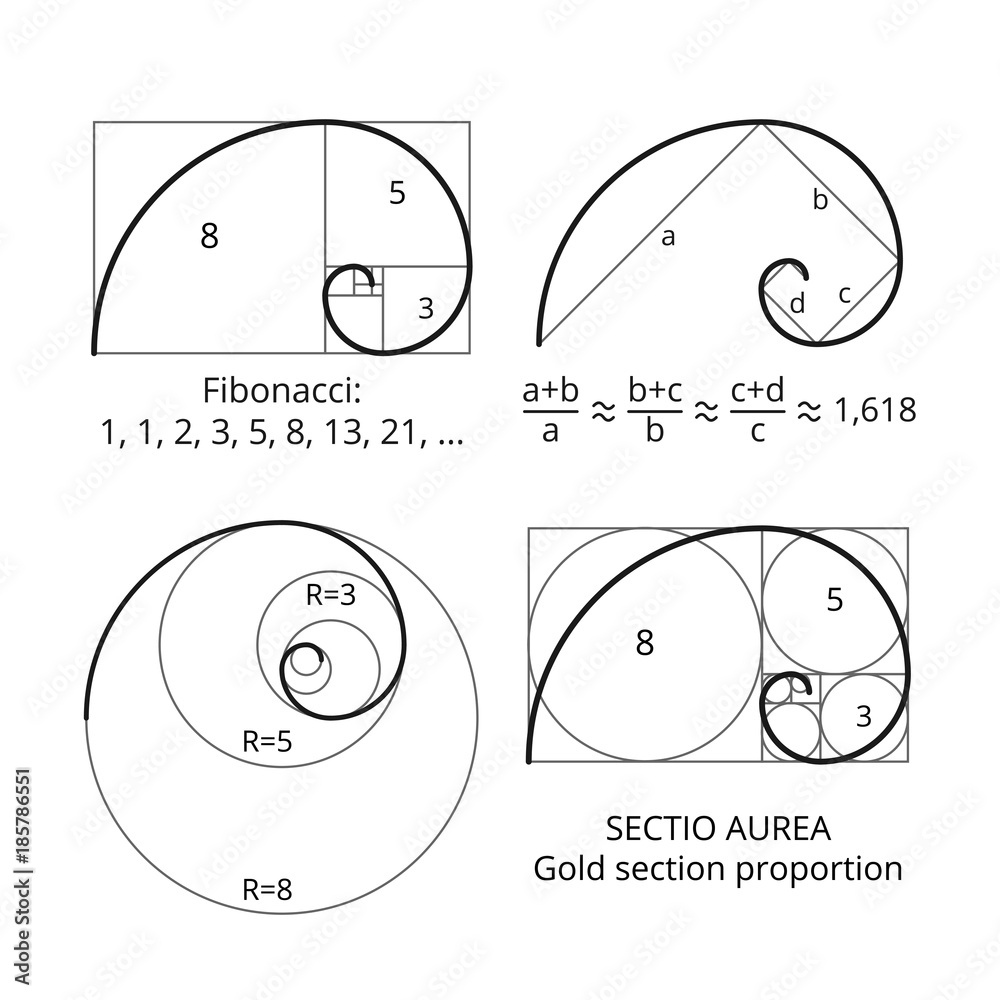 Golden fibonacci ratio spirals. Gold section proportion vector