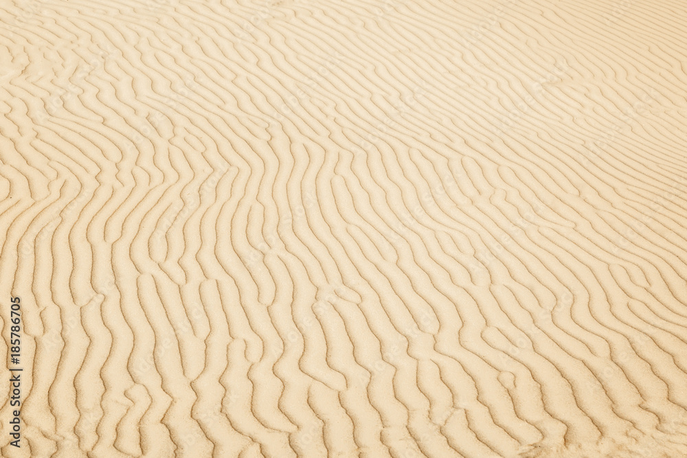 Texture of sea sand. Closeup. The sandy background. Texture of sea sand. Closeup. The sandy background.