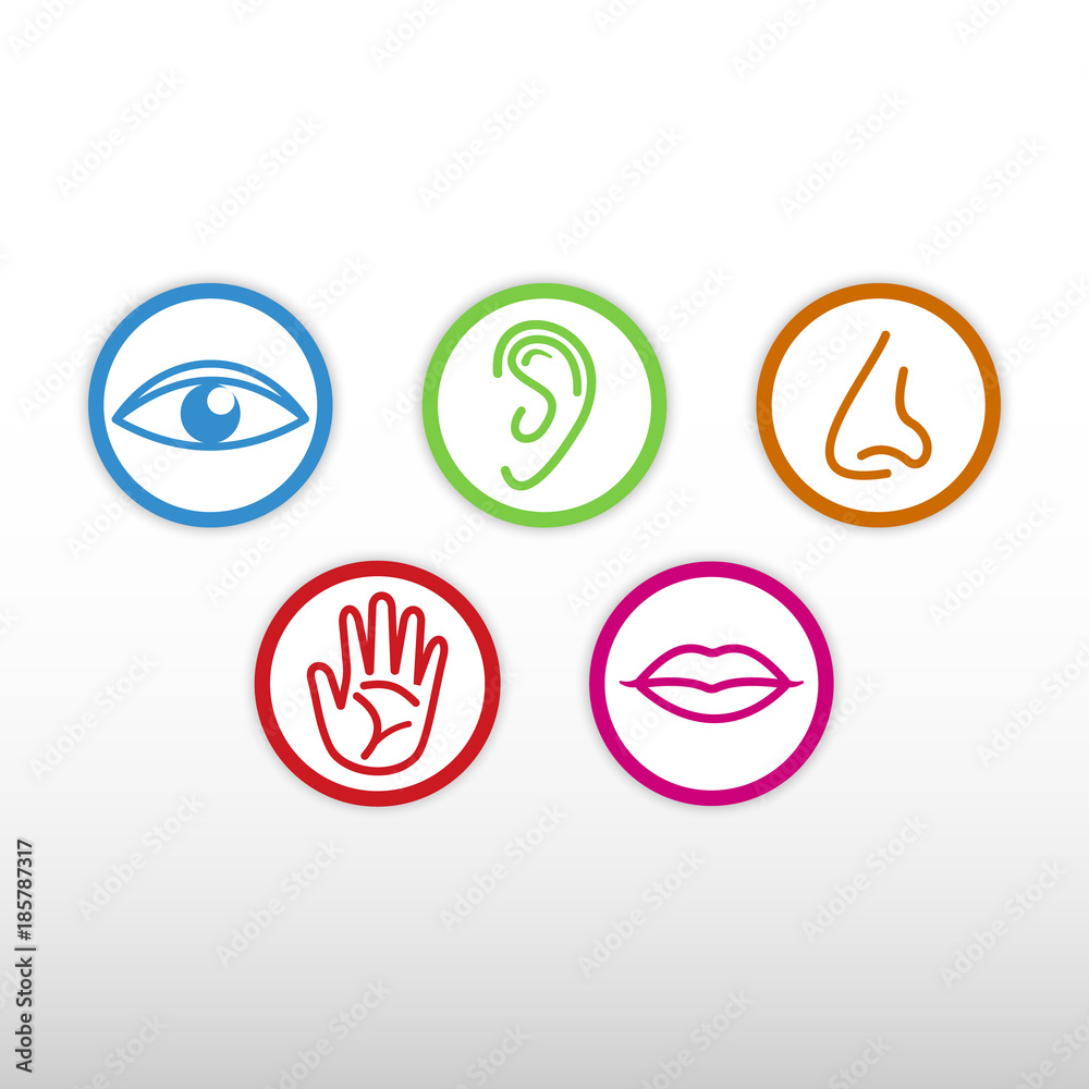 Five senses icon. Five senses icon.