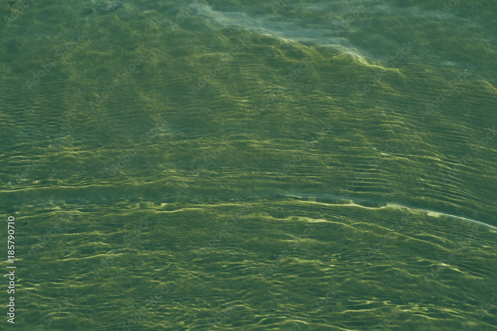 Obraz premium water texture background close up