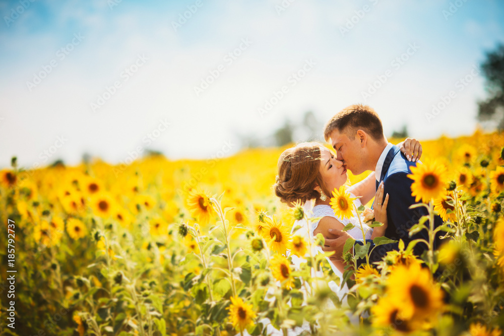 bride and groom against the background of a field of sunflowers bride and groom against the background of a field of sunflowers
