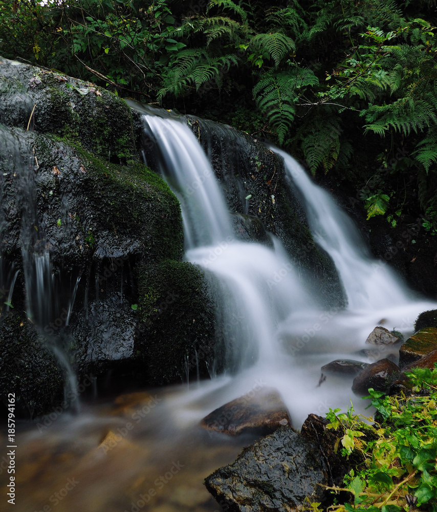 Fototapeta premium Waterfall at the carpatian mountains green forest