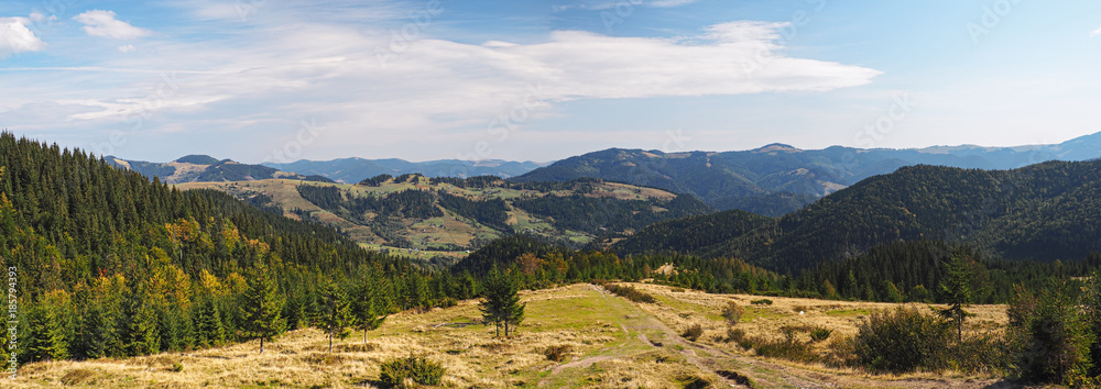 Fototapeta premium Carpatian mountains village at green forest