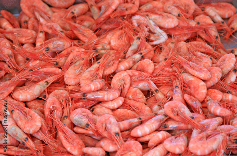 Krabben Nordseekrabbe Nordseegarnelen Frischfisch Krabben Nordseekrabbe Nordseegarnelen Frischfisch