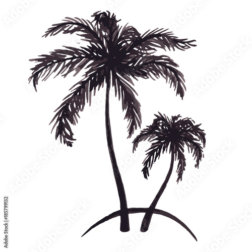 Monochrome two tropical palm tree sea ocean beach hand drawn sketch vector