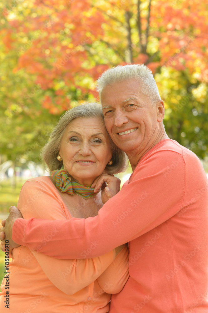 senior couple hugging in the park senior couple hugging in the park