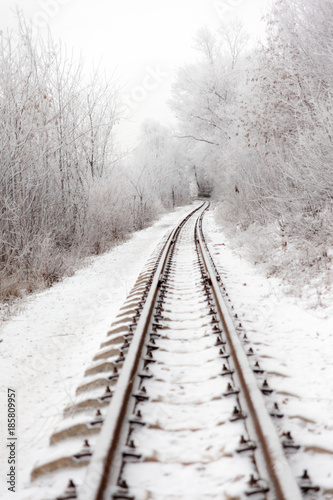 An empty railway among the bushes covered with hoarfrost. Winter landscape with transport ways for trains.