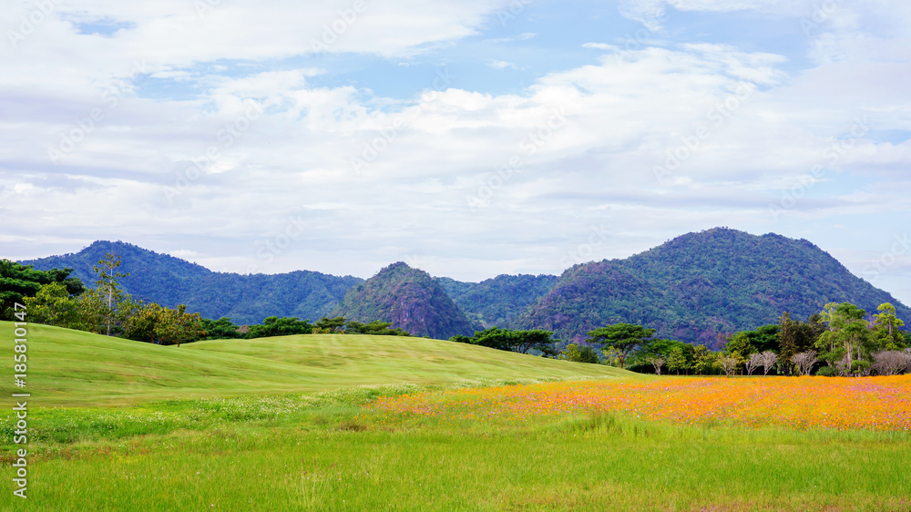 mountain range and meadow at Singha park Chiang rai, Thailand.