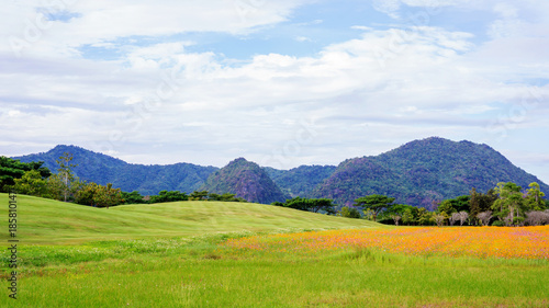 mountain range and meadow at Singha park Chiang rai, Thailand.