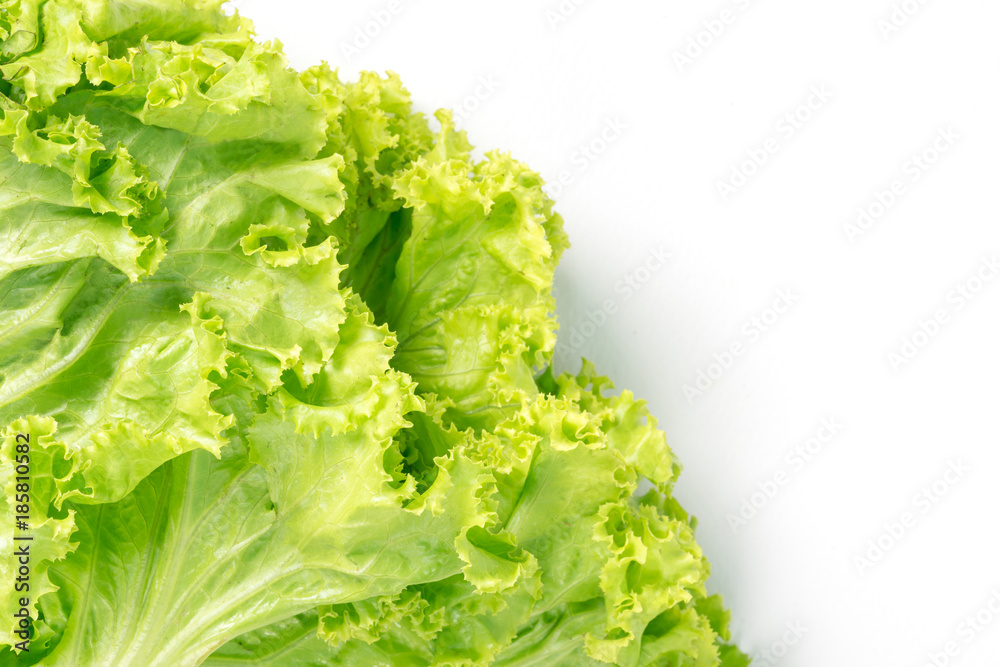 Fresh lettuce leaves isolated on white background Fresh lettuce leaves isolated on white background