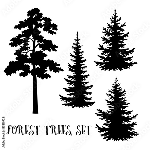 Fir and Pine Trees Set, Black Silhouettes Isolated on White Background. Vector