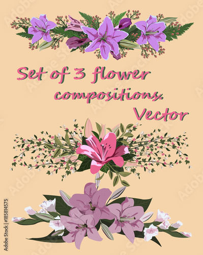 Set of floral compositions. Different flowers, leaves and flowering branches. Plant cells are assembled in decorative bouquets. Vector illustration. Greeting cards, business cards, notepads, etc.