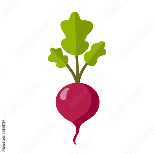 Radieschen Flat Design Icon