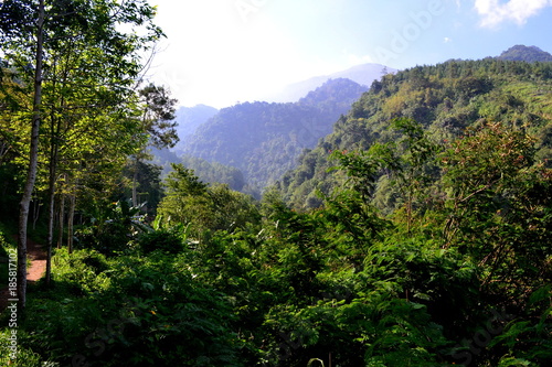 mountain, nature, outdoor, forest, landscape, background, tree, natural, travel, scenic, environment, green, scenery, hill, view, sky, beautiful, tourism, morning, park, mist, blue, season, haze, wood