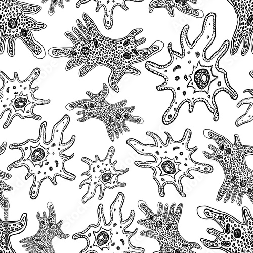 pattern of the decorative drawn amoebas