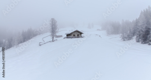 snowy and foggy montain winter landscape © Alice_D