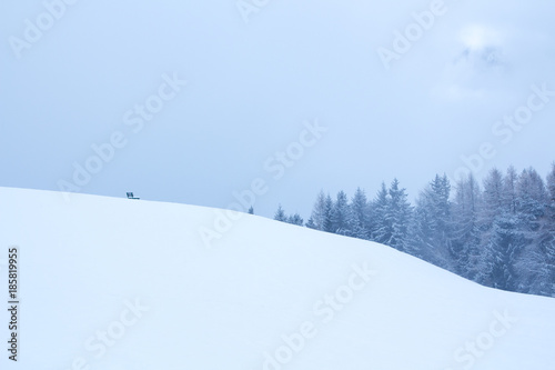 Fototapeta Naklejka Na Ścianę i Meble -  snowy and foggy mountain winter landscape
