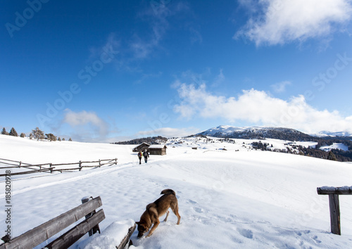 south tirol winter hiking travel landscape photo