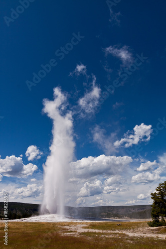 Yellowstone Nationalpark, USA