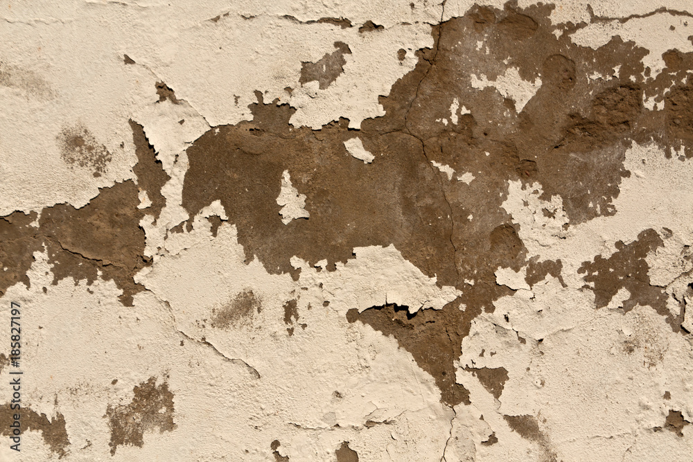 Fototapeta premium Grugy cement wall texture.