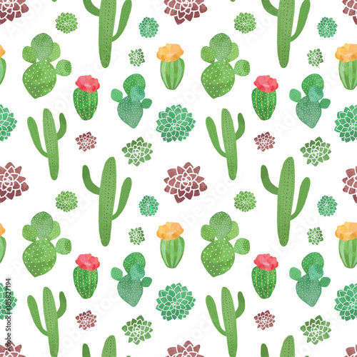 Cacti illustrations colorful vector seamless pattern
